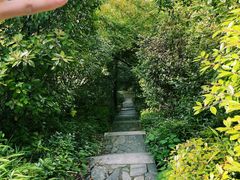 -潜山国家森林公园