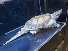 -六鳌翡翠湾滨海度假景区