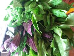 山茅野菜拼盘-滇釜火锅·能喝汤的火锅(车公庄店)