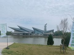 -盐城丹顶鹤湿地生态旅游区