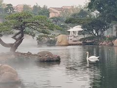 -罗红摄影艺术馆