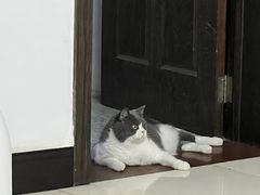 -科道动物医院·急重症中心(万达院)