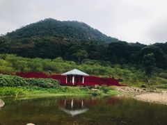 -广州市石门国家森林公园