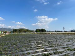 -光明小镇欢乐田园