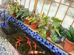 -上尚汤汤泉汗蒸(空港复悦里店)