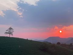 -帐篷客·溪龙茶谷度假酒店