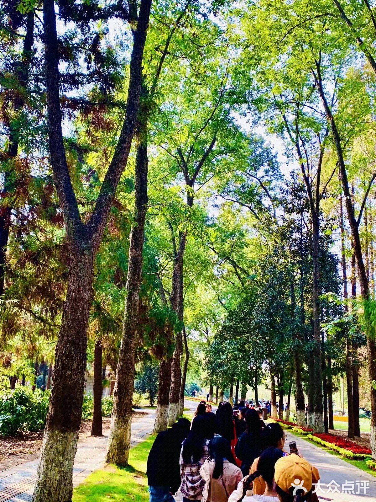 南京中山植物园🌳