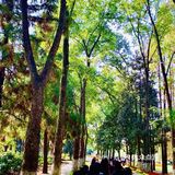 南京中山植物园🌳