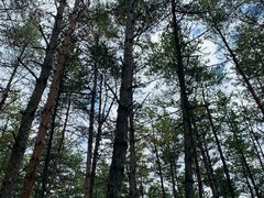 -帽儿山国家森林公园