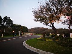 -羊山湖公园
