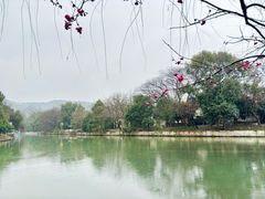 -绍兴大禹开元观堂-若耶厅