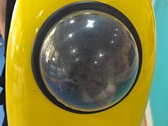 -天使宠物医院·犬猫分诊(彩虹店)