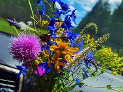 -塞罕坝国家级自然保护区