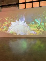 -恐龙探索乐园(磁器口店)