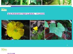 -尼莫儿童美术(三阳路融科天城校区)