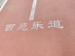-西苑公园