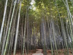 -南北湖风景区