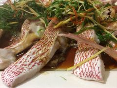 清蒸红棕-郑厨私房菜