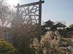 -无锡蠡湖国家湿地公园-蠡园