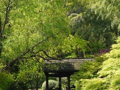 -杭州黄龙洞