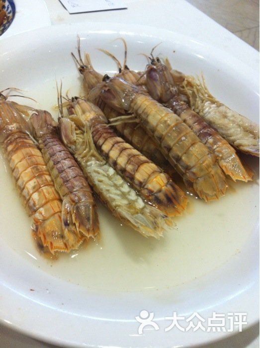 石浦饭店盐水虾蛄图片-北京宁波菜-大众点评网