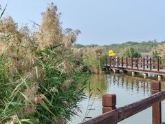 -西青郊野公园