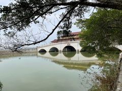 -大湾区中央湿地公园