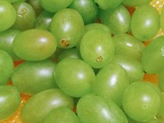 -欧尚(江阳中路店)