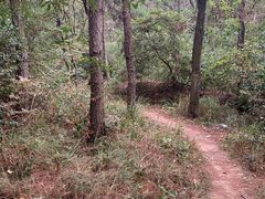 -青龙山国家森林公园