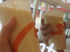 -CoCo都可(宁晋天一广场店)