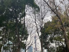 -北外滩滨江绿地