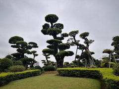 -南宁南湖公园