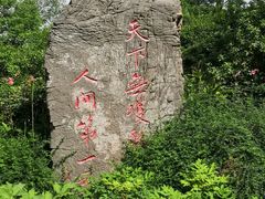 -洛阳市牡丹公园