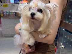 -FAELING PETS美天灵宠物(富力广场店)