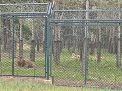 -秦皇岛野生动物园