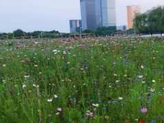 -白塘生态植物园