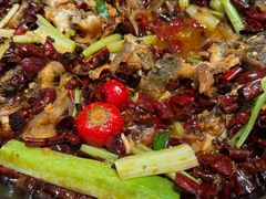 -老板恋上鱼(恒隆广场店)