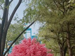 -太阳宫公园