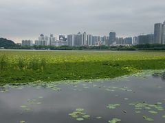 -月湖风景区
