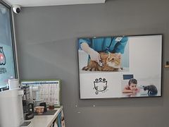 -御宝贝·A梦猫科宠物医院(国际猫友好医院)