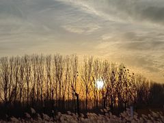 -东郊湿地公园