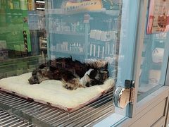 -FAELING PETS美天灵宠物(合生汇店)