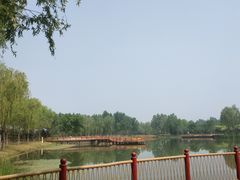 -东郊湿地公园