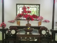 -上海醉白池公园