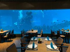 大堂-海棠湾洲际-涛·海底餐厅·美人鱼·自助餐·海底隧道