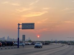 -合肥滨湖国家森林公园