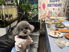 -百好乐宠物友好餐厅(朝外大街店)