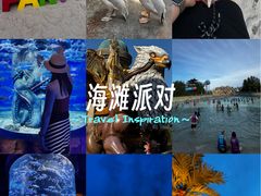 -哈尔滨波塞冬海底世界
