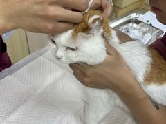 -美联众合动物医院·24h转诊中心