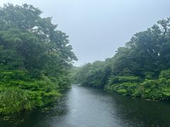 -济州森林小火车生态公园